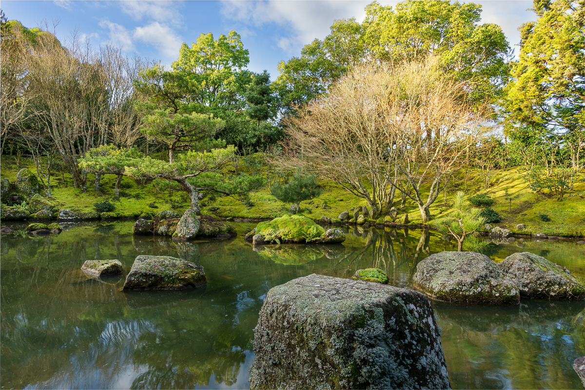 Hamilton_Gardens_Japanese.jpg