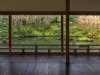 Hamilton_Gardens_Japanese-2.jpg