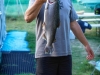 5b-brown-trout
