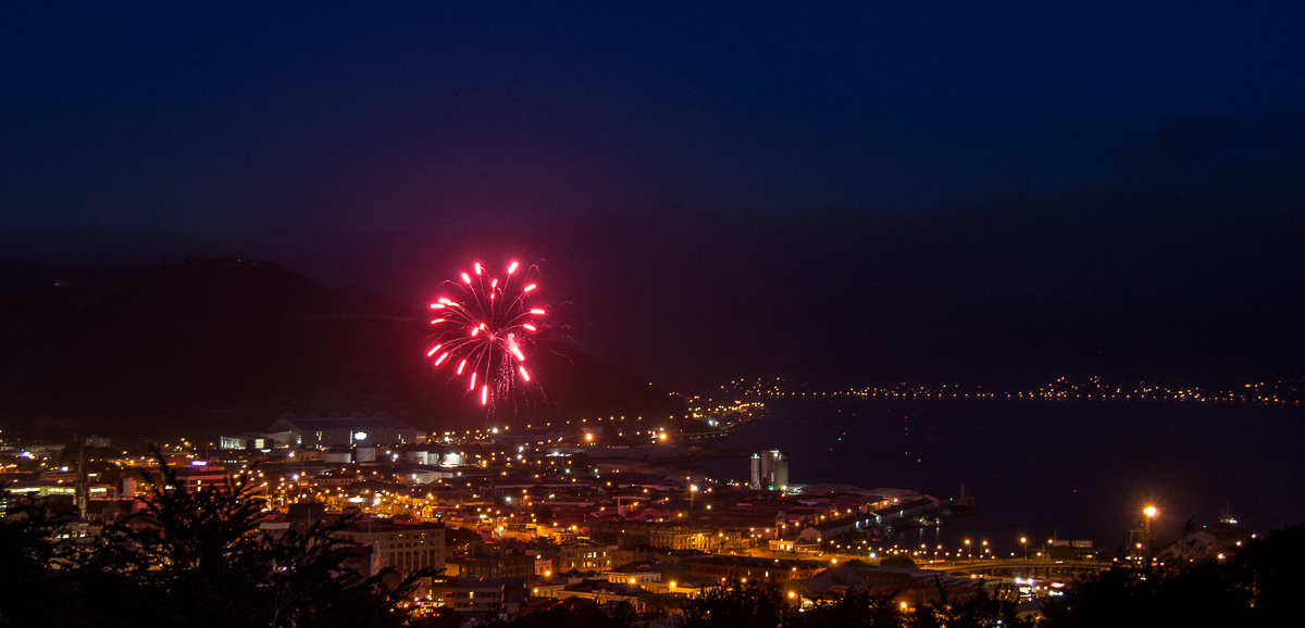 Fireworks Dunedin-310114-005.jpg