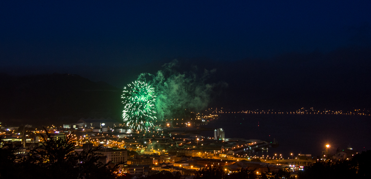 Fireworks Dunedin-310114-022.jpg