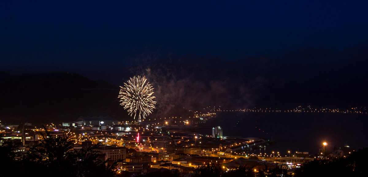 Fireworks Dunedin-310114-033.jpg