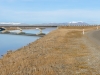 Twizel Fishing Trip-090814-527.jpg